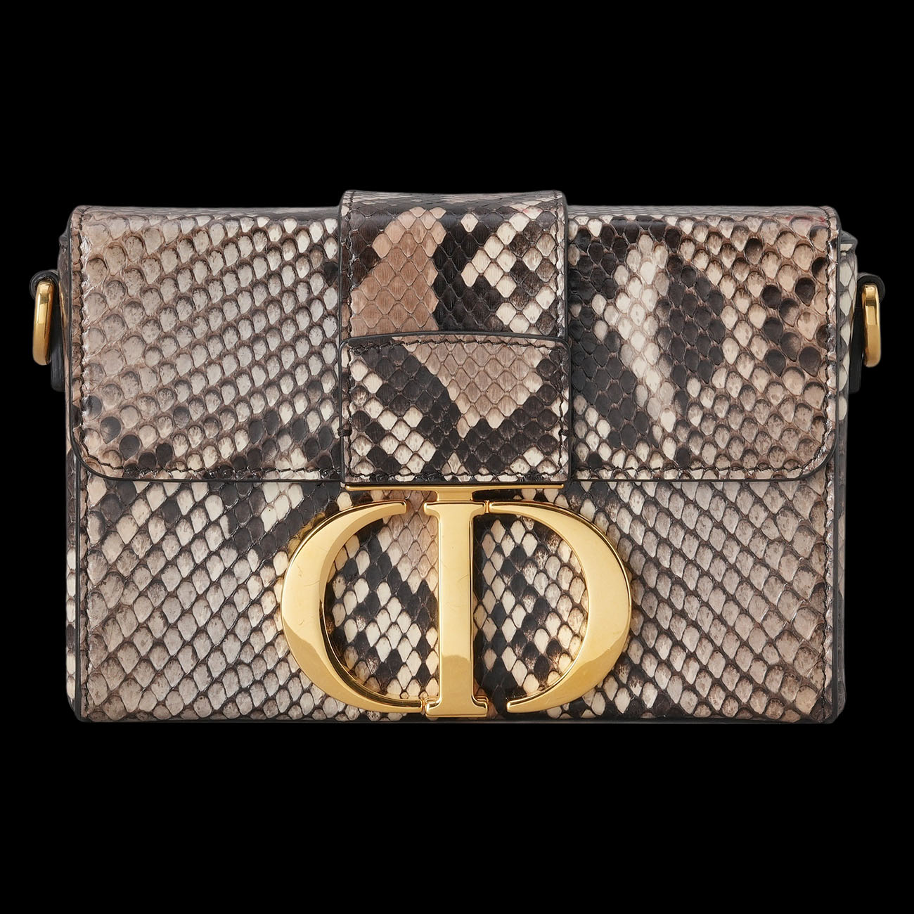 CHRISTIAN DIOR(USED)디올 파이톤 30 몽테인 박스백
